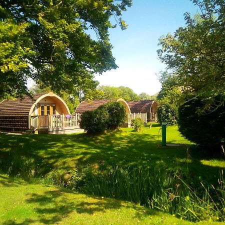 Campsie Glen Holiday Park Fintry Bagian luar foto