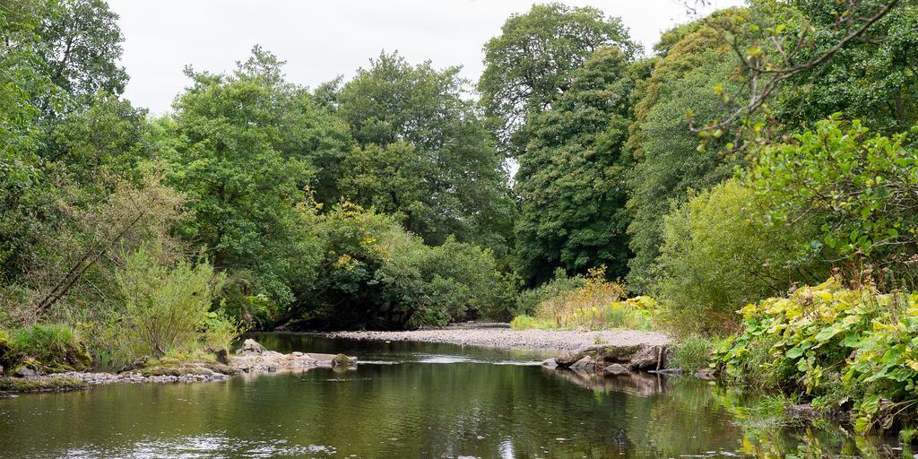 Campsie Glen Holiday Park Fintry Bagian luar foto